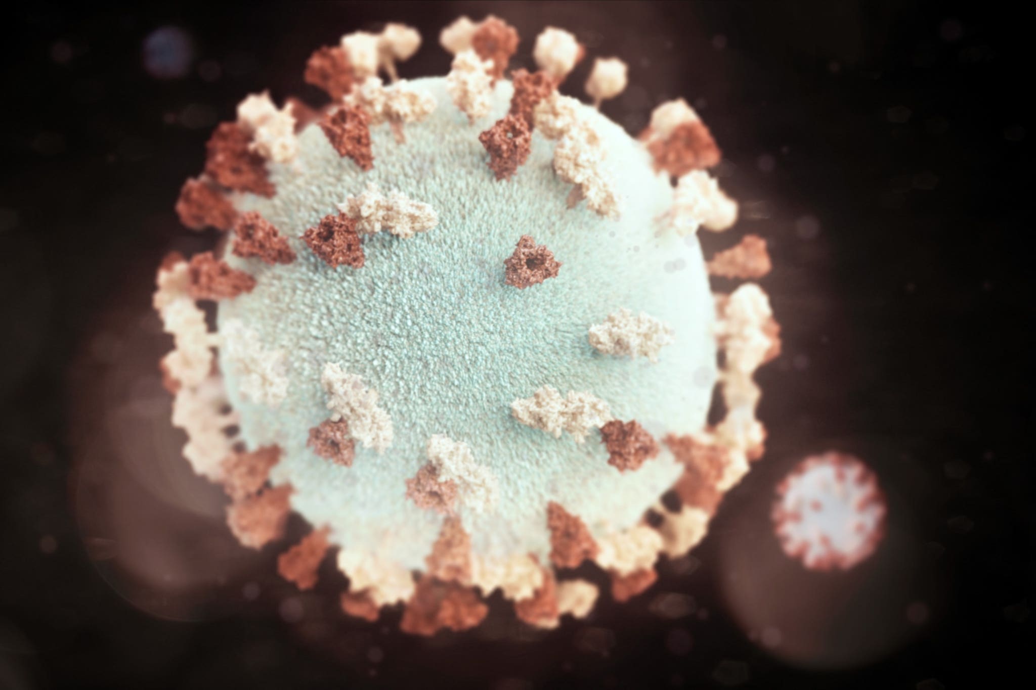 CORONAVIRUS / COVID-19 – QUESTIONS FRÉQUEMMENT POSÉES