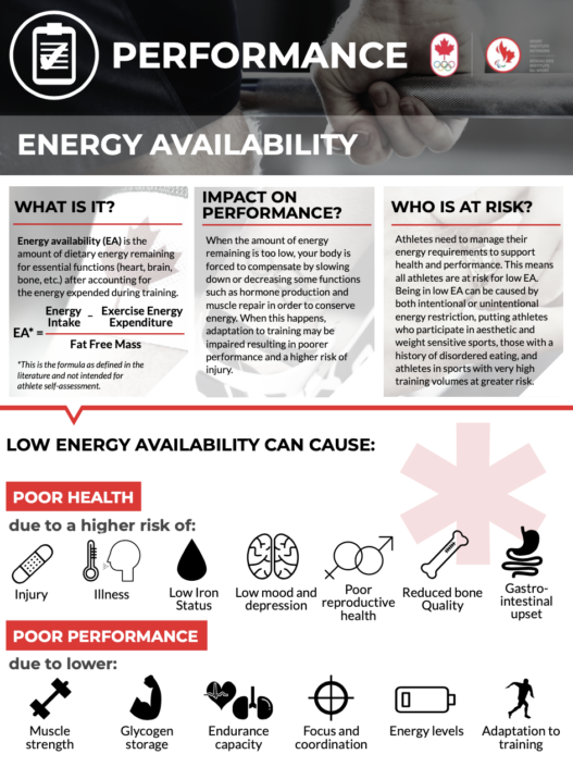 Energy Availability fact sheet
